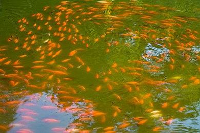 2D太空模拟沙盒新作《Among the Stars》公布